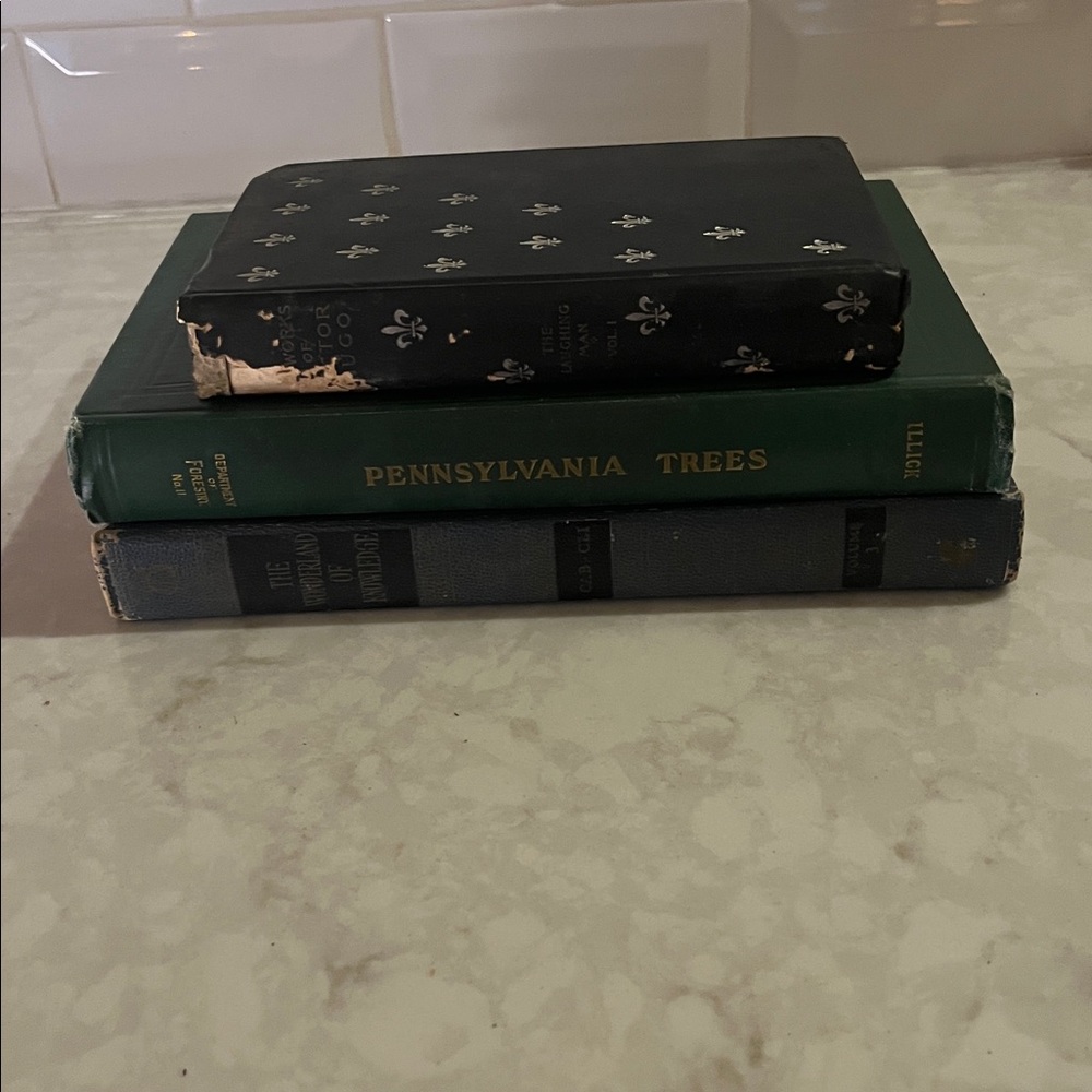 Antique decorative book stack cofee table books sweet small books tallest 9” (7)
